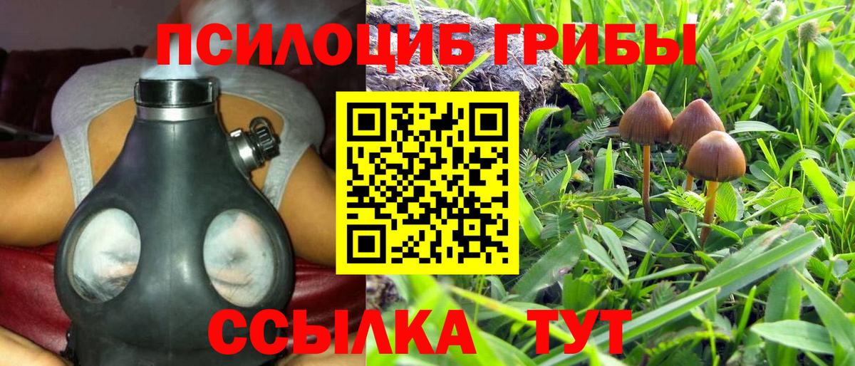 Галлюциногенные грибы Psilocybine cubensis Химки