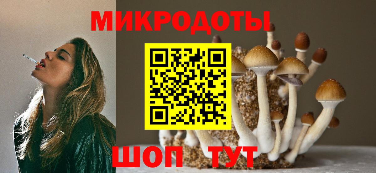 Химки  Псилоцибиновые грибы Cubensis  где купить наркоту  Вход с VPN 